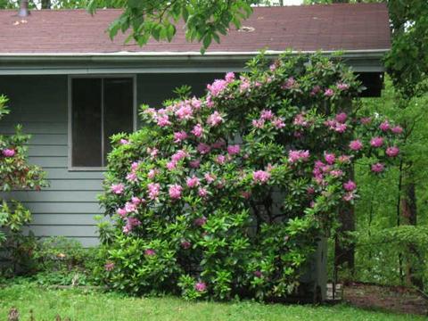 204 Floating Mill Rd, Silver Point, TN 38582 photo 6