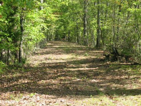 204 Floating Mill Rd, Silver Point, TN 38582 photo 17