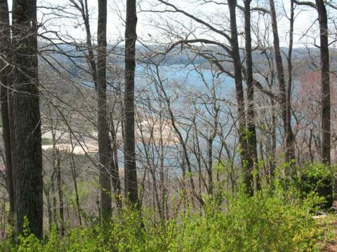 204 Floating Mill Rd, Silver Point, TN 38582 photo 5