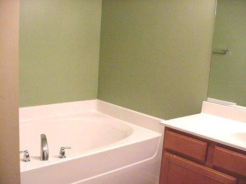 3043 Soaring Eagle Way, Spring Hill, TN 37174 photo 8