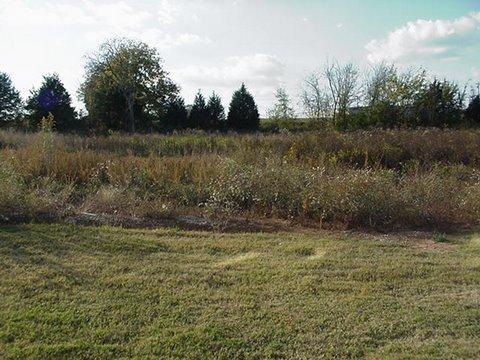 3043 Soaring Eagle Way, Spring Hill, TN 37174 photo 14
