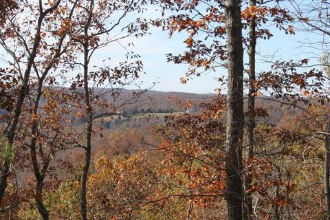 4290 E Beaverdam Rd, Centerville, TN 37033 photo 8