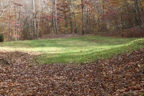 4290 E Beaverdam Rd, Centerville, TN 37033 photo 2