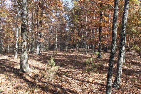 4290 E Beaverdam Rd, Centerville, TN 37033 photo 6