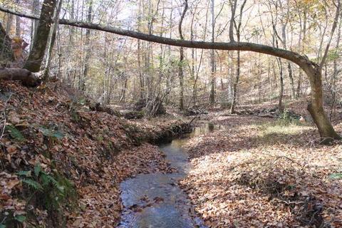 4290 E Beaverdam Rd, Centerville, TN 37033 photo 11