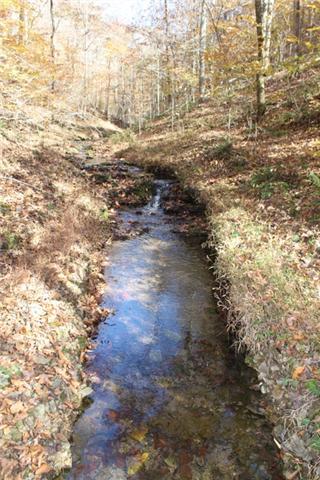 4290 E Beaverdam Rd, Centerville, TN 37033 photo 12