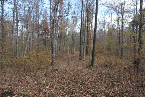 4290 E Beaverdam Rd, Centerville, TN 37033 photo 5