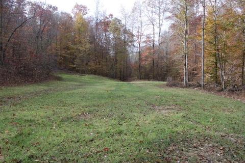 4290 E Beaverdam Rd, Centerville, TN 37033 photo 3
