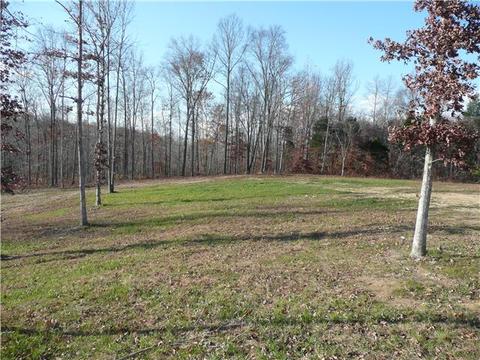 1260 Rogues Frk, Bethpage, TN 37022 photo 5