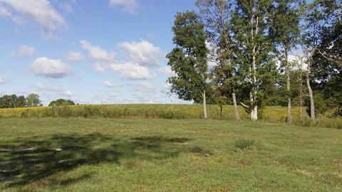 233 Rouse Rd, Dickson, TN 37055 photo 20