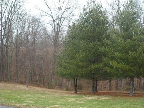 2059 Dade Cir, Dickson, TN 37055 photo 4