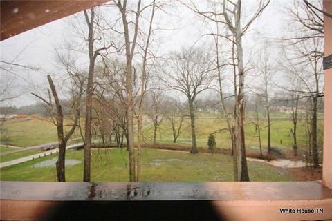 7071 Highway 76e, Springfield, TN 37172 photo 4