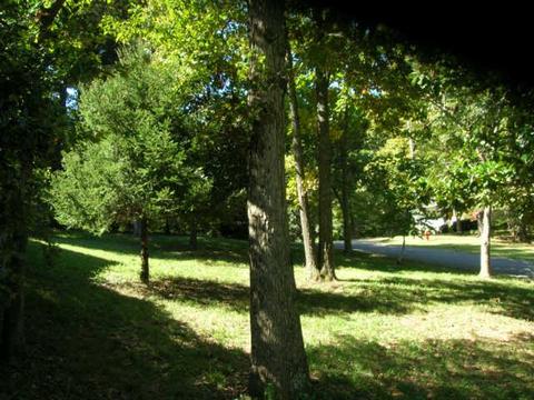 800 Deer Run Dr, Springfield, TN 37172 photo 13
