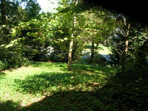 800 Deer Run Dr, Springfield, TN 37172 photo 12