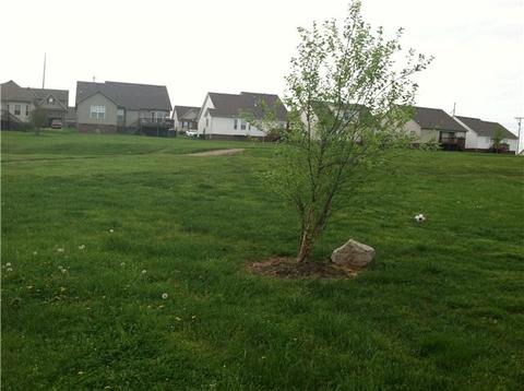 2012 Patrick Way, Spring Hill, TN 37174 photo 5
