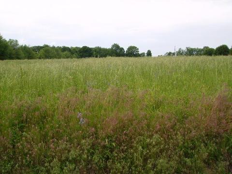 144 Malone Trl, Bethpage, TN 37022 photo 1