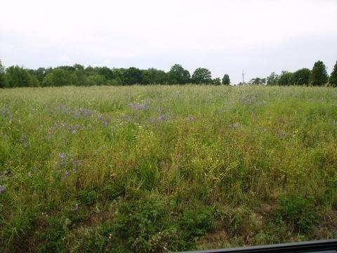 144 Malone Trl, Bethpage, TN 37022 photo 2