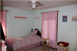 4119 Bogie Dr, Centerville, TN 37033 photo 7