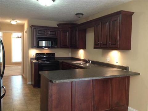 4119 Bethlehem Rd, Springfield, TN 37172 photo 3