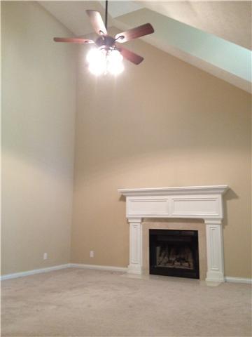 4119 Bethlehem Rd, Springfield, TN 37172 photo 10