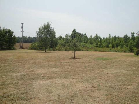 7951 Maple Springs Rd, Morrison, TN 37357 photo 20