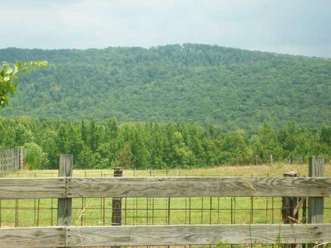 1894 Chestnut Grove Rd, Morrison, TN 37357 photo 4