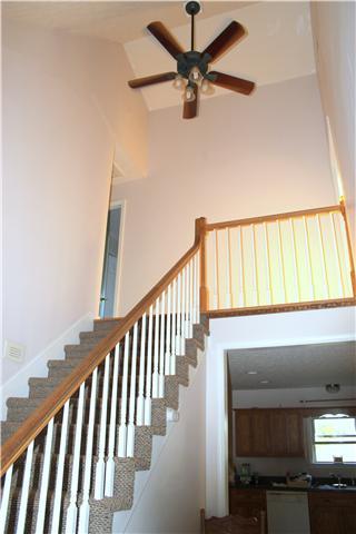 3974 Corbin Sneed Rd, Springfield, TN 37172 photo 8