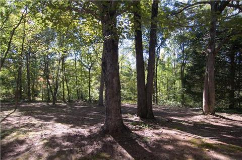 4480 Akin Rd, Cunningham, TN 37052 photo 18
