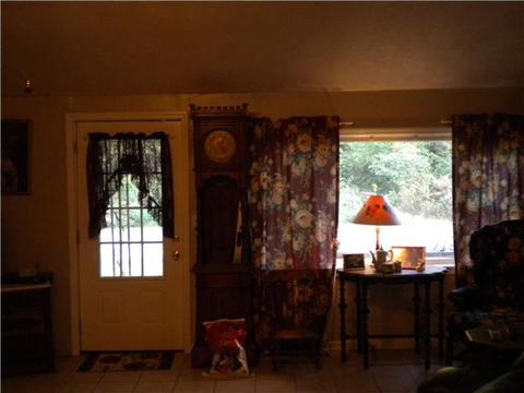 543 Turkey Branch Rd, Goodspring, TN 38460 photo 3