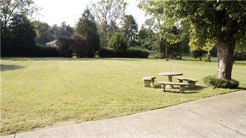 511 E Campbell Rd, Madison, TN 37115 photo 3