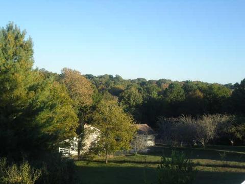 2307 Huckaby Rd, Columbia, TN 38401 photo 16