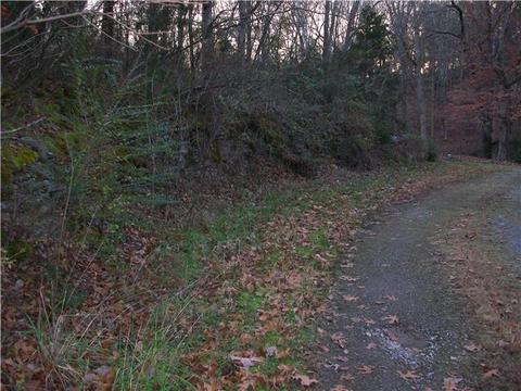 2425 Cedar Hill Rd, White Bluff, TN 37187 photo 14