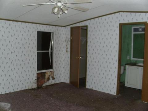 972 Pack Rd, White Bluff, TN 37187 photo 4