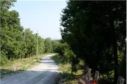 929 Cedar Mountain Rd, Decherd, TN 37324 photo 10