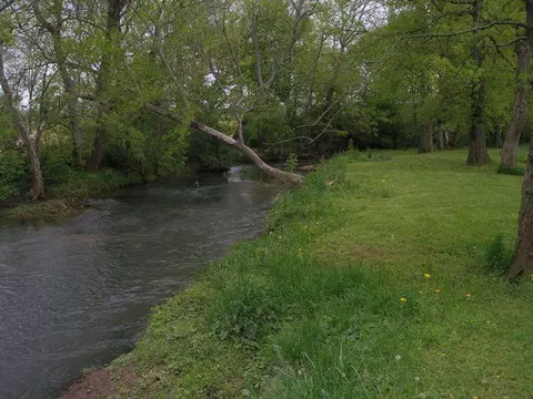10241 Viola Rd, Morrison, TN 37357 photo 14