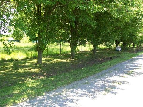 97 Roscoe Rd, Morrison, TN 37357 photo 8