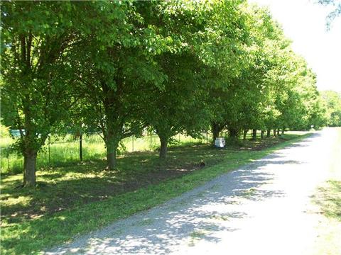 97 Roscoe Rd, Morrison, TN 37357 photo 7