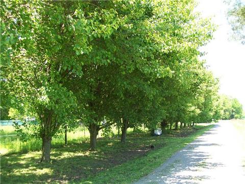97 Roscoe Rd, Morrison, TN 37357 photo 1