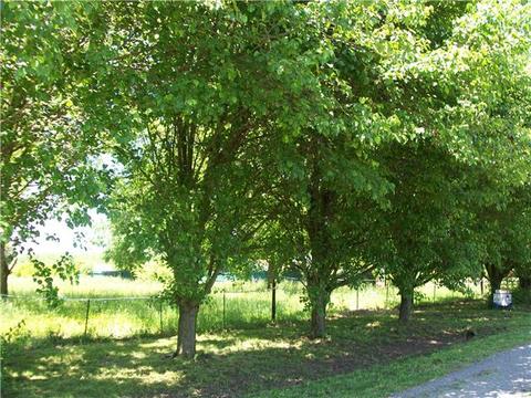 97 Roscoe Rd, Morrison, TN 37357 photo 3