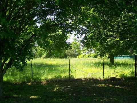 97 Roscoe Rd, Morrison, TN 37357 photo 5