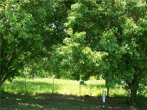 97 Roscoe Rd, Morrison, TN 37357 photo 6