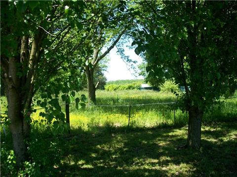 97 Roscoe Rd, Morrison, TN 37357 photo 4