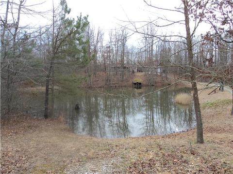 523 Fire Tower Rd, Dickson, TN 37055 photo 2