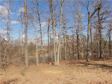 523 Fire Tower Rd, Dickson, TN 37055 photo 5
