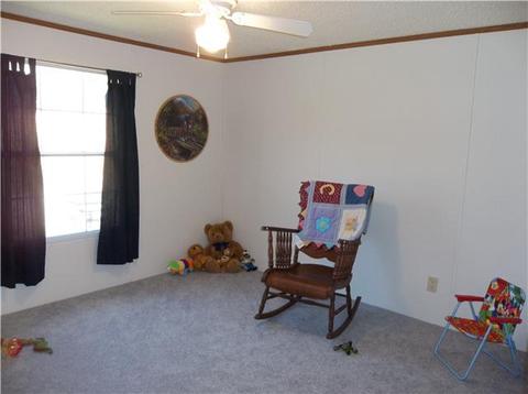 809 Echo Lake Dr, Pulaski, TN 38478 photo 11