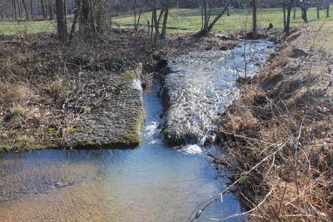 3100 Arnold Rd, Centerville, TN 37033 photo 19