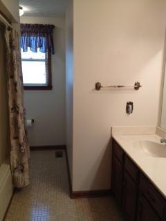 307 Mosley Dr, Springfield, TN 37172 photo 9