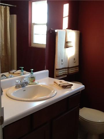 2644 Apostle, Murfreesboro, TN 37129 photo 10
