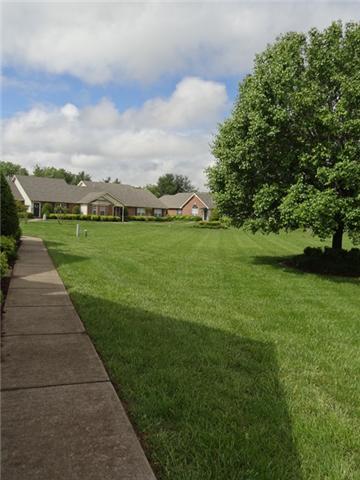 809 E Northfield Blvd, Murfreesboro, TN 37130 photo 17