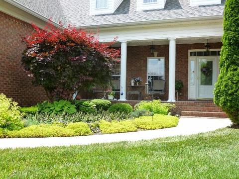 393 Willow Brook Dr, Manchester, TN 37355 photo 3
